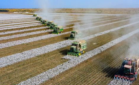 新疆生產(chǎn)建設(shè)兵團